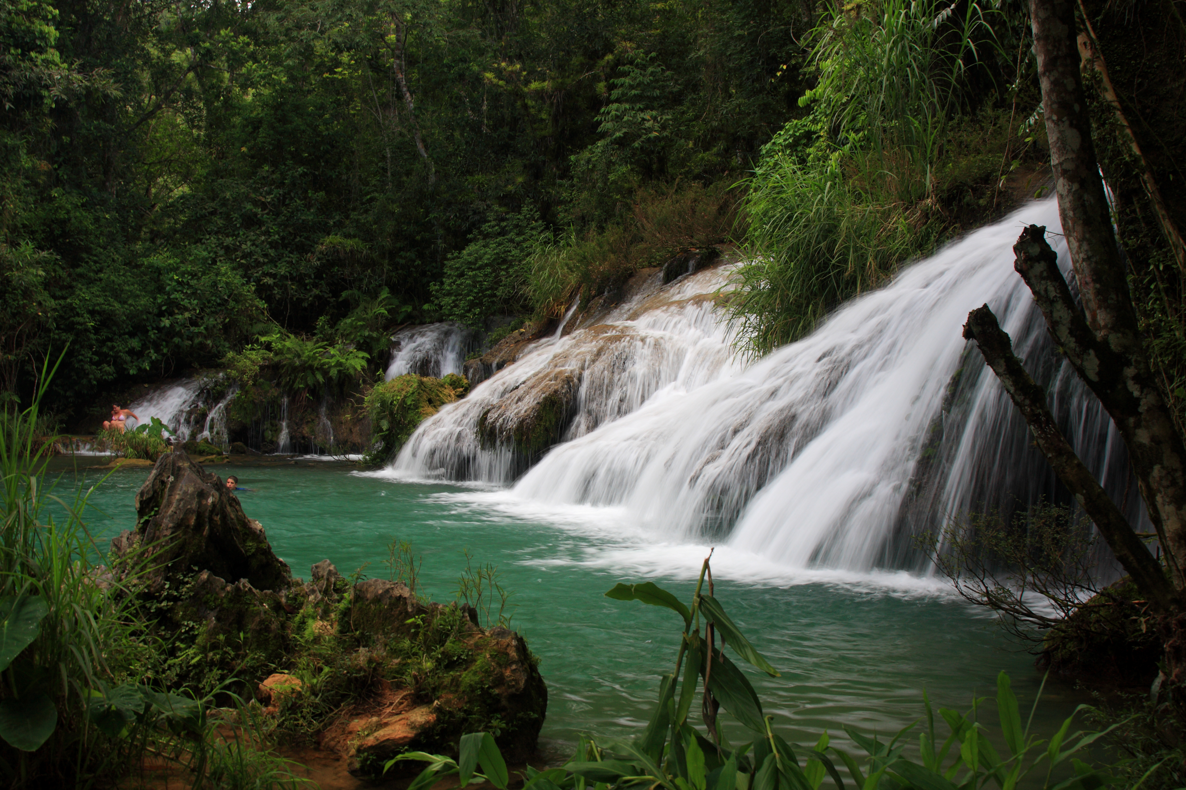 Maredumilli 1 Day Tour Package_image