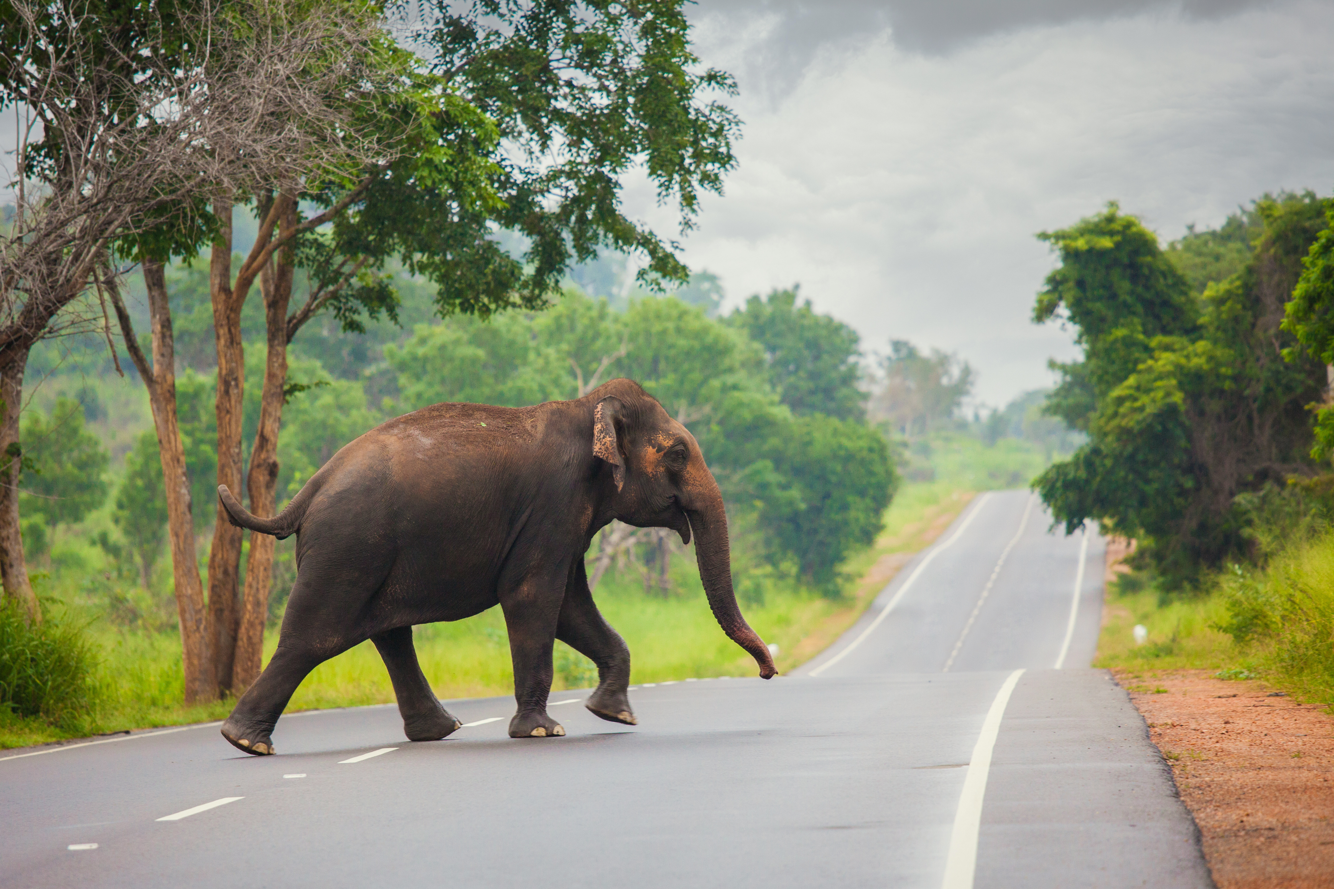 Maredumilli 2 Days Tour Package_image