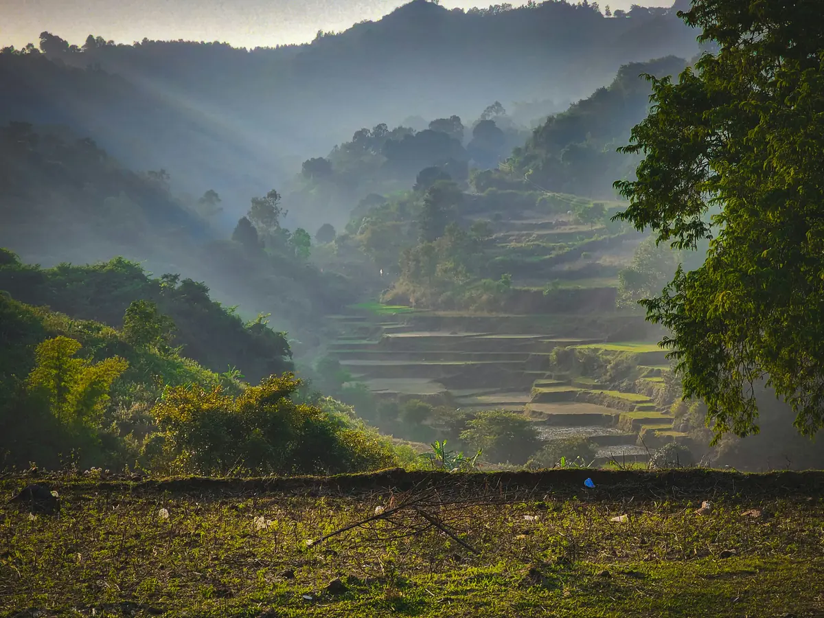 Araku